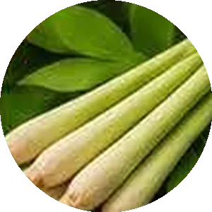 Lemongrass